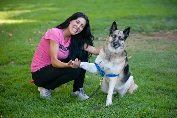 A woman in a pink shirt smiles, shaking hands with a large German Shepherd wearing a blue harness.